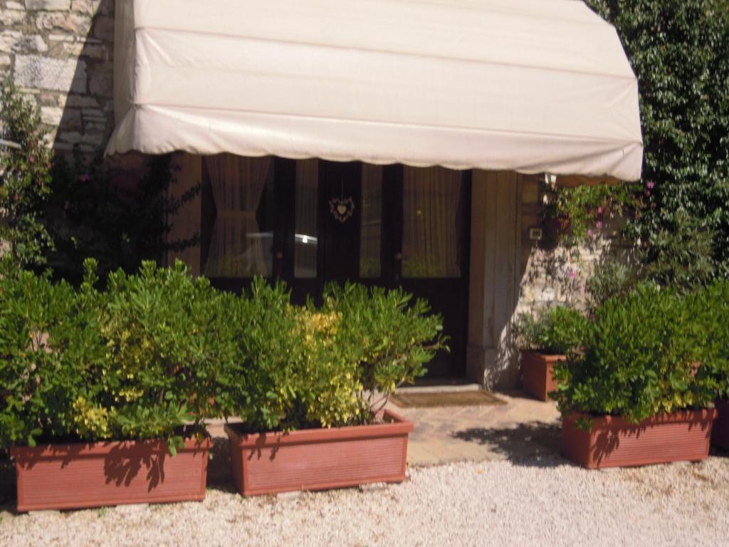 Il Turrione Apartment Assisi Exterior photo